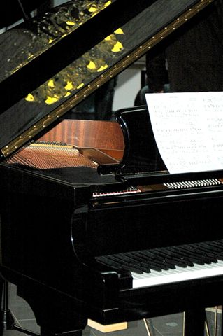 Pianoles Dorrie Tromp - Plezier in pianospelen voor jong en oud
